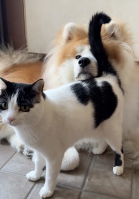 こんなに仲良しに。