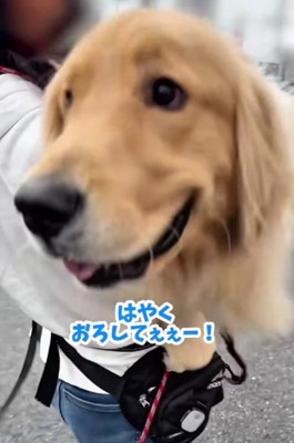 「早く降ろして!」