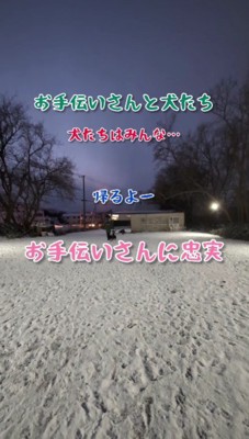 お手伝いさんは犬使い！？