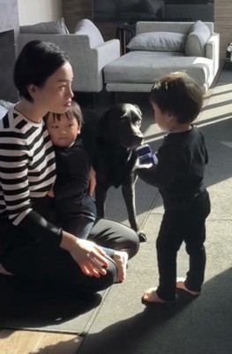 男の子のそばに立つ犬