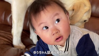 「キレイにしなくちゃ…！」