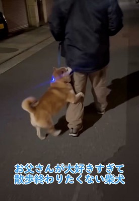 お父さんに飛びつくロンくん