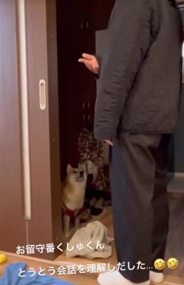 柴犬に話しかける飼い主