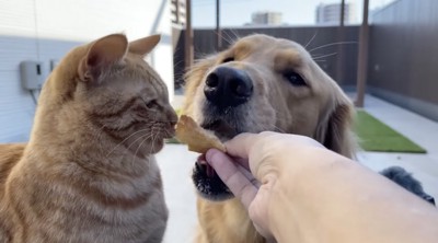 2人でパンを食べる