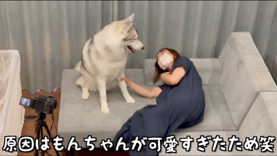 ソファに倒れる女性を見つめる犬