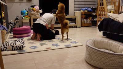 「妹を食べないで！！」