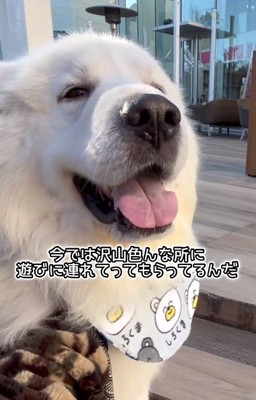 笑うアレンくん