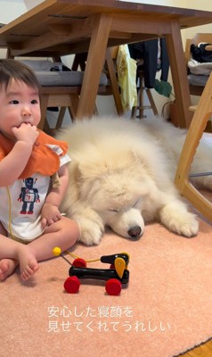 はくちゃんと赤ちゃん⑩