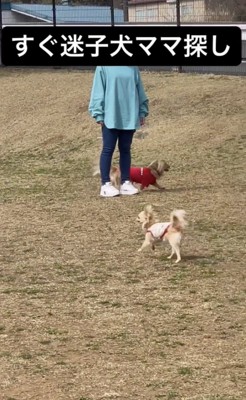 「ママどこぉ」