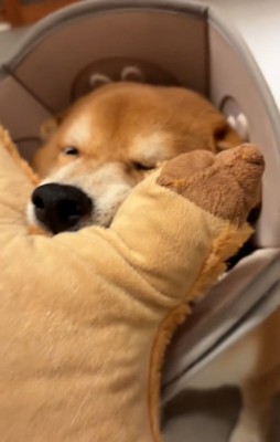 少し目が開いた長三郎くん