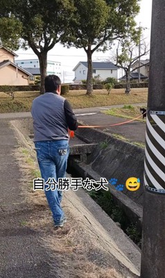 お父さんと定春くんのお散歩⑩