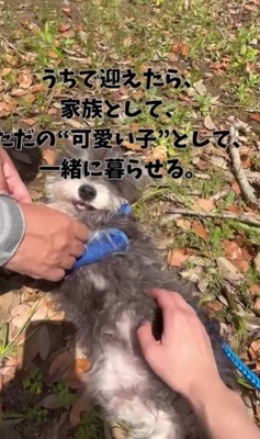 家族として迎えることを決意