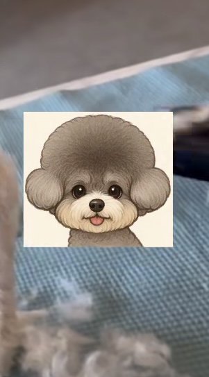 テディベアカットのイメージ図