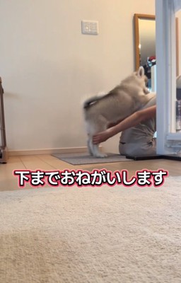 おぶさろうとするパウくん