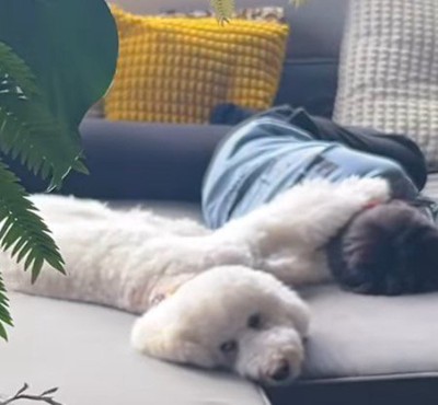 男の子の背中に前足を乗せる犬