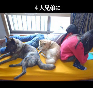 4人兄弟となった一家