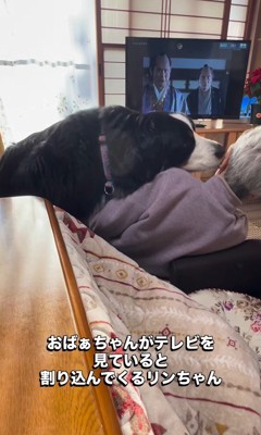 「構って~」と甘える姿が可愛い♡