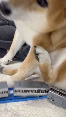 2両目に足がゴンッ