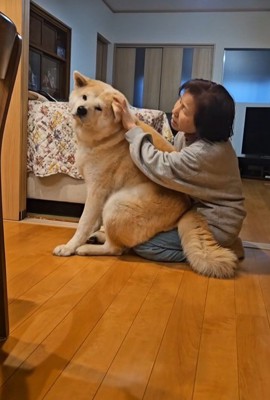 寒い日の朝の駄偉助くん2