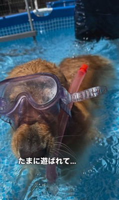 2人の女の子とシンバくんの夏休み6