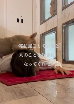 寝転ぶ男性を舐める子犬