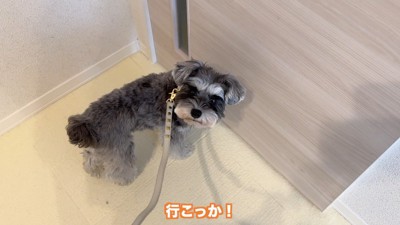 「お散歩楽しみだな～♪」