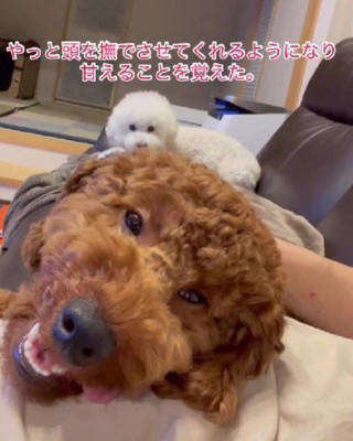 徐々に甘えん坊に♡