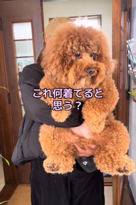 「何着てると思う？」と聞く飼い主さん