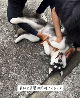 気持ちが渋滞するキラくん