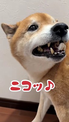 そのギャップがたまらない！？