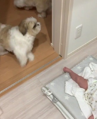 2匹そろって大慌て！！