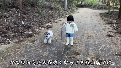 トイプーを散歩させる女の子