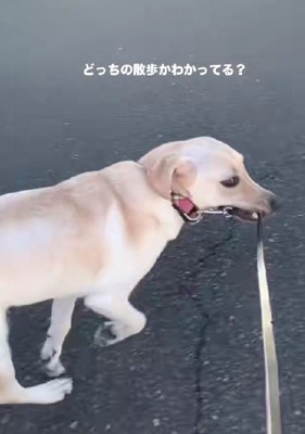 「その調子！！」