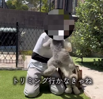 顔に飛びつく犬