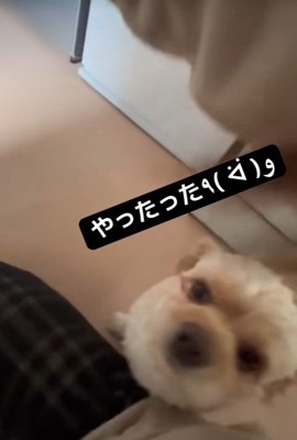 誇らしげに報告にきました♪