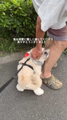 足に体を寄せてくる犬を撫でる男性
