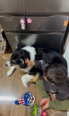 愛を育んできたレアちゃんと男の子7