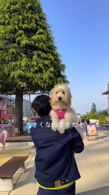 男性に抱っこされながらカメラを見つめる子犬