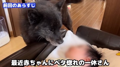 赤ちゃんが大好きな一休さん