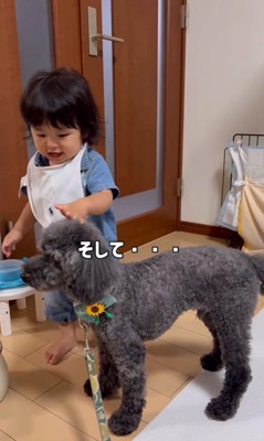 りつ君と実家のワンコ7