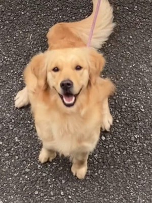 ママを見つけて嬉しそう♪