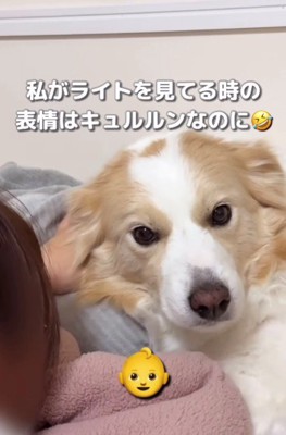 ママにはキュルン顔