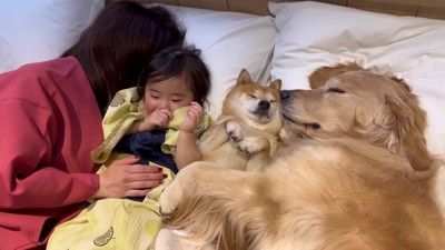 平和なワンシーンにホッコリ