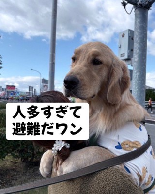人混みにビックリ