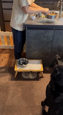 犬のごはんが入った器を振って、犬の注意を引きつける飼い主