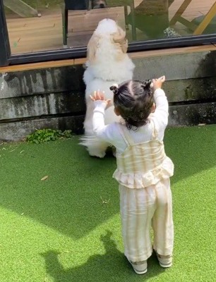 テラスの仕切りに手をかける犬と、男性に向かって手を広げる女の子