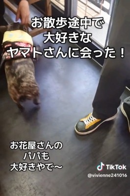 お花屋さんに挨拶するヴィヴィちゃん