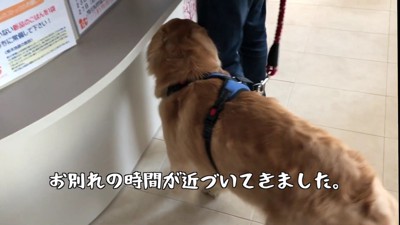 いよいよお別れの時間