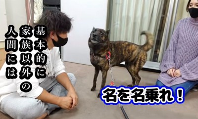 座っている人に吠える犬