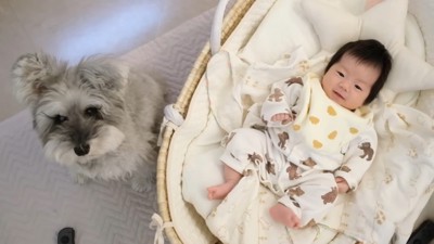 ずっと隣にいてくれるトトちゃん